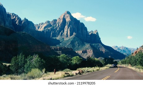 Landscape and Stree | Zion National Park