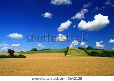 Similar – Image, Stock Photo growing maize field