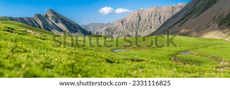 Landscape in the summer in the mountains at high altitude. Very nice view of rocky ridges in the background and a magnificent view of green and flowery alpine meadows. Southern Alps, France.
