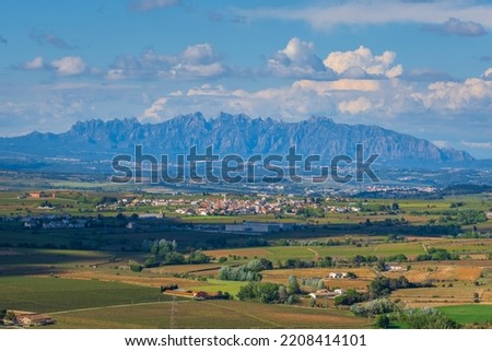Landscape with summer vineyards and Montserrat at background near Vilafranca del Penedes, Catalunya, Spain