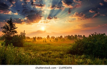 Landscape, sunny dawn in a field