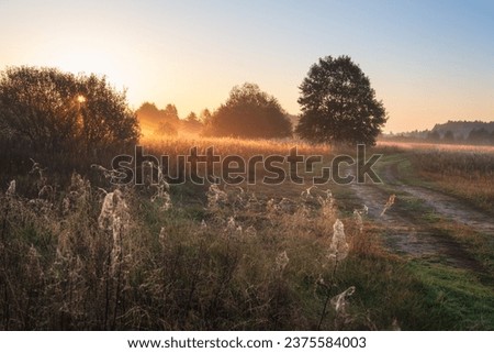 Landscape of sunrise over misty meadow. Foggy morning at  meadow with dry grass and rural road passing through.Calm foggy weather.  Beautiful rural landscape with road.