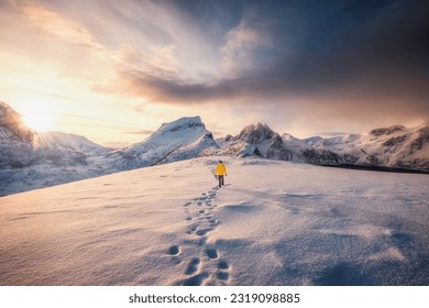 Landscape of sunrise over Mount Segla and mountaineer walking with snow footprint in snow storm on the peak in Fjordgard at Senja Island, Norway