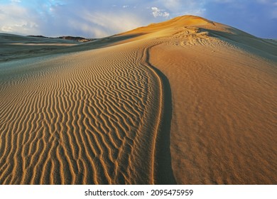 Landscape At Sunrise Of The Silver Lake Sand Dunes, Silver Lake State Park, Michigan, USA