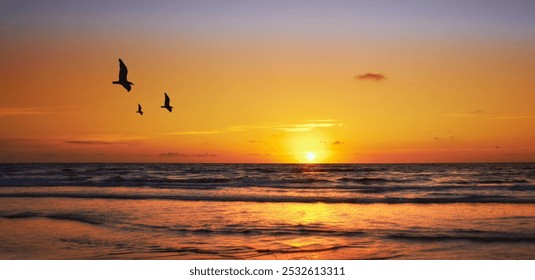 Landscape, sunset and birds with beach and ocean for environment, travel destination and tropical. Summer vacation, water and nature with sea horizon for mediterranean coastline, holiday and paradise - Powered by Shutterstock