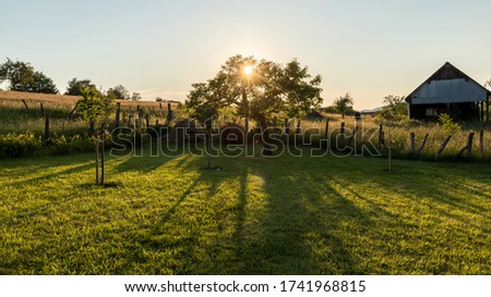 Similar – #A0# Garten mit Sonne