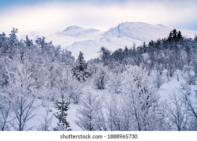 Landscape from Sweden in winter, frozen forests, snow mountain and magic light