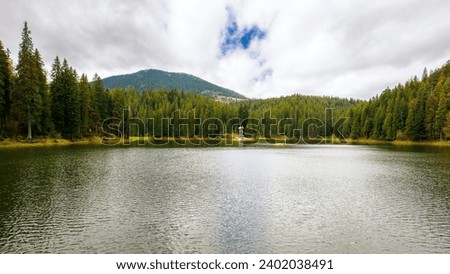 landscape of a synevyr lake in spring. scenery with fir forest on the shore and hills. beauty of carpathian mountains
