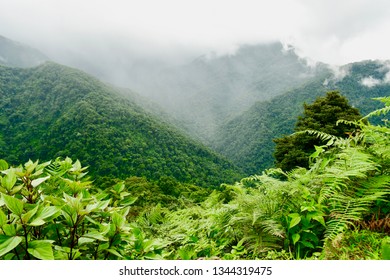 Landscape Taken In Nagaland, Kohima.