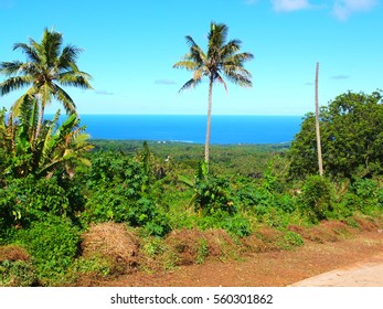 Landscape Of Tanna Island, Vanuatu