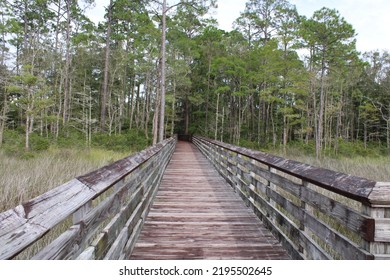 Landscape At Tarklin Bayou State Park, Florida. 