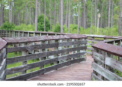 Landscape At Tarklin Bayou State Park, Florida. 