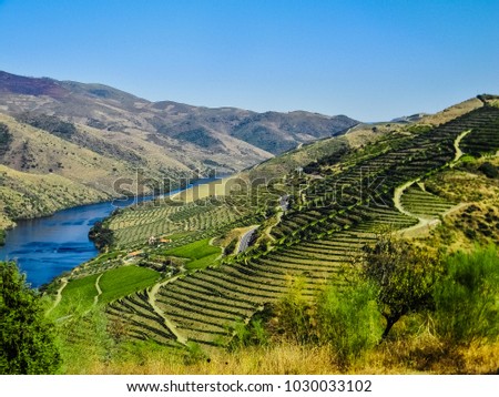 Landscape of the terraced wine fields in the Douro valley near the village of Vila Nova de Foz Coa, northern Portugal