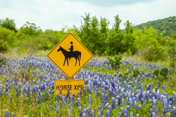Landscape Of Texas Hill Country Terrain With Horse Crossing Sign Surrounded By Bluebonnets.  Mesquite Trees And Prickly Pear With Hills And Soft Clouds In Blue Sky.