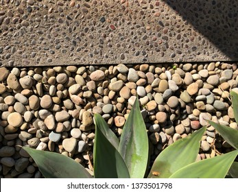 Landscape Textures With Agave And Beach Pebbles