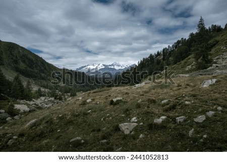 Similar – Die Hochlegeralm … | Karwendel [4]