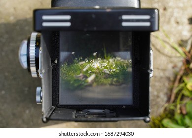landscape through the viewfinder of the vintage TLR (Twin lens reflex) camera.