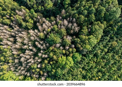 The Landscape Of The Thuringian Forest