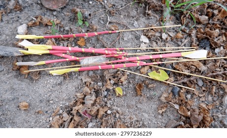 a landscape top-down close-up shot capturing a small pile of unlit traditional sticks of fireworks or sparklers wrapped in pink paper on dry soil with autumn leaves.