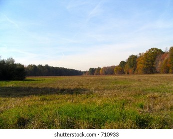 Landscape Tree Line Autumn Fall