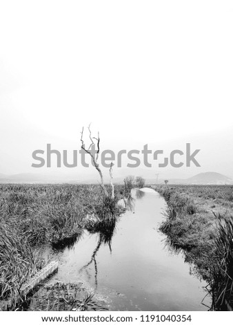 Similar – parted Meadow Field Coast