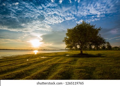 Landscape tree sunset standing near the river and beautiful sunrise with tree alone and sun colorful sky background 