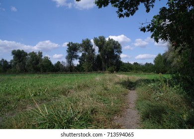 Landscape with trees