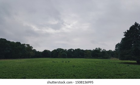Landscape and the trees around