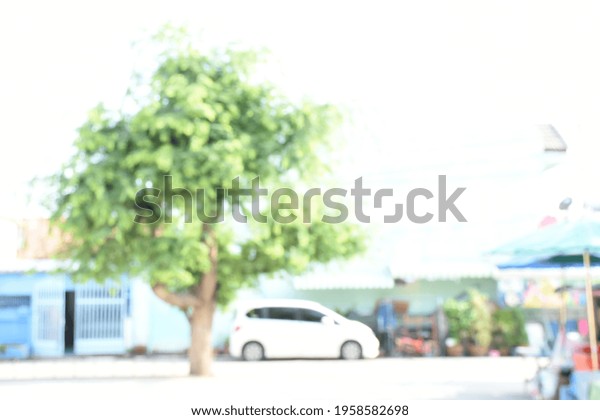 Landscape with trees and cars parked in the\
community, Abstract blurred\
background.