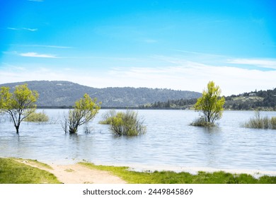 Landscape with trees and a large river with a path