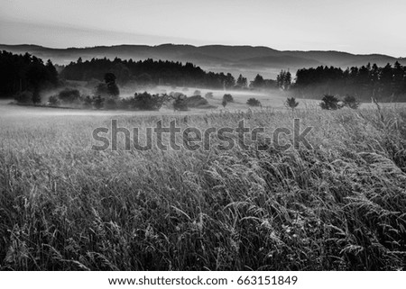 Similar – Land Natur Landwirtschaft