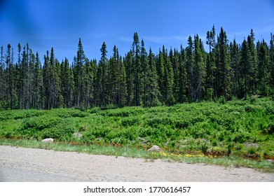 Landscape Of Trees And Mountains  From Car In Northern Quebec