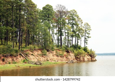 A Landscape With Trees At Sabine National Forest, Texas