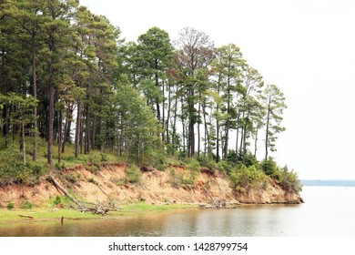 A Landscape With Trees At Sabine National Forest, Texas