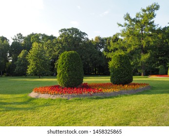 Landscape of trimmed oval shaped trees growing on a flower bed of red, orange and yellow flowers in the park with sun rays illuminating green grass. Landscape design. - Shutterstock ID 1458325865