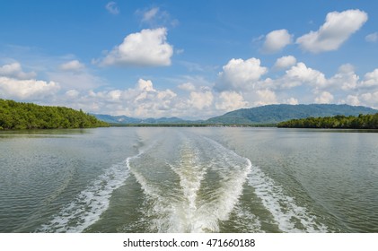 Landscape Of Tropical Mangrove Forest And Long-tail Fishing Boat Wake Pattern In Phang Nga Bay National Park, Thailand