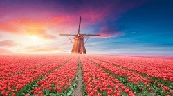 Landscape With Tulips, Traditional Dutch Windmills And Houses Near The Canal In Zaanse Schans, Netherlands, Europe. High Quality Photo