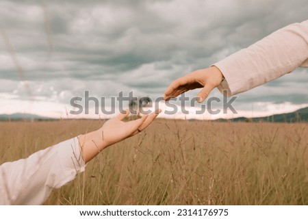 Landscape of two hands meeting a tree in the background in a pasture with tall grass and overcast skies.