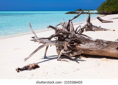 Landscape Of A Typical Desert Island In Maldives