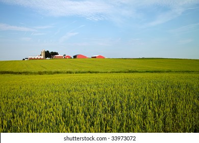 A Landscape Of A Typical Midwestern American Farm On A Sunny June Day