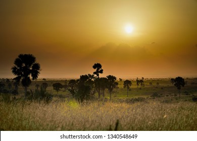 Landscape In Uganda