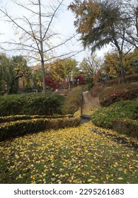 Landscape of University of Seoul South Korea. 