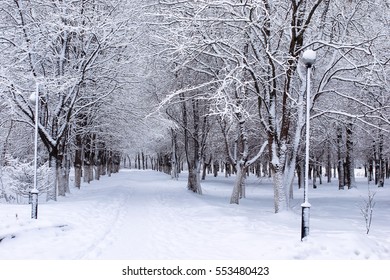 51,196 Winter First Day Images, Stock Photos & Vectors | Shutterstock