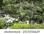 Landscape urban design, public city park in Japan style with stones, bonsai pines trees, flowers, little briges, water falls in center of Monte-Carlo city, Monaco