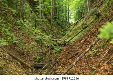 Landscape With A V Shaped Valley Inside Of A Forest In Mountains