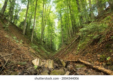 Landscape With A V Shaped Valley Inside Of A Forest In Mountains