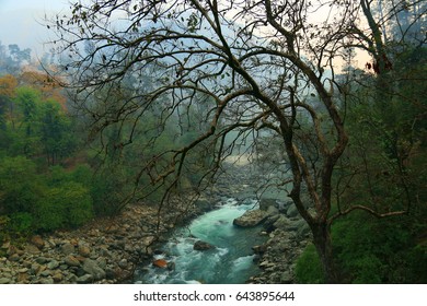 Landscape view