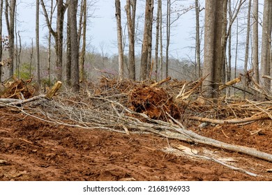 Landscape View After Trees Have Been On Land Clearing For Started Work Development Construction New Residential Subdivision