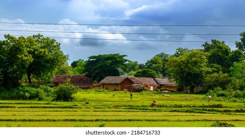Landscape View of Agricultural Field with Mud Houses in Rural India. Selective Focus is used.