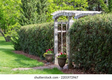 Landscape View Of An Arched Wooden Arbor Trellis In An Ornamental Botanical Garden Surrounded With Green Grass And Shrubbery
